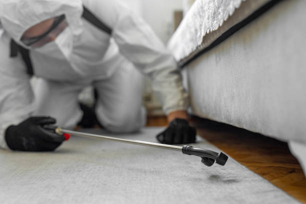 Professional Cockroach Control technician working in Carson, WA