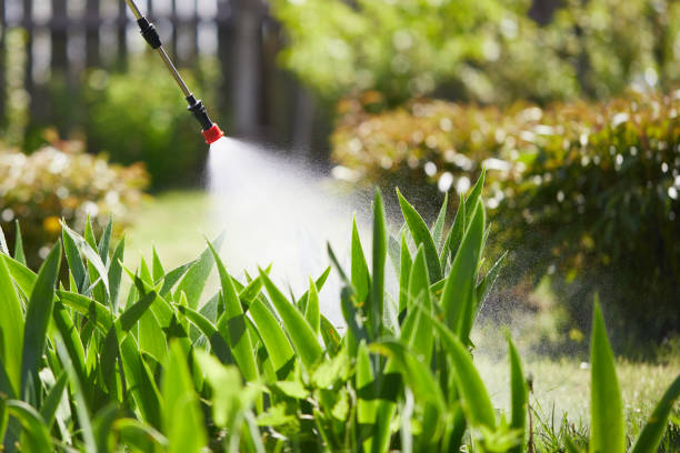 24/7 Emergency Cockroach Control experts in Carson, WA
