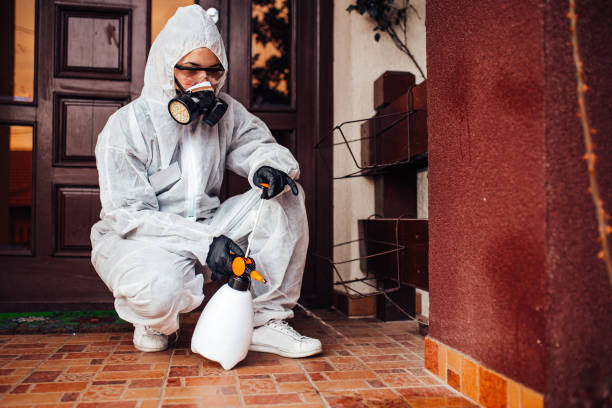 Reliable Cockroach Control contractor in Carson, WA by Nex Pest Control